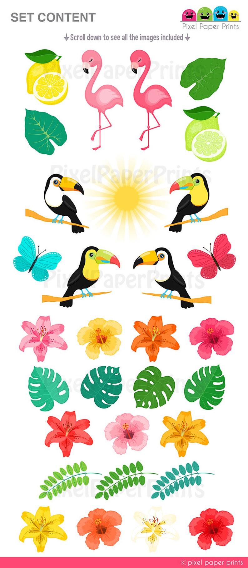 May include: A set of tropical themed digital paper prints featuring pink flamingos, toucans, butterflies, lemons, flowers, and leaves. The digital paper prints are perfect for crafting projects, scrapbooking, and more.