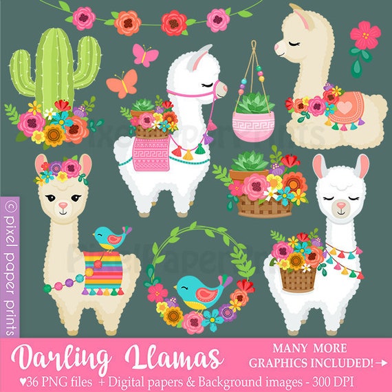 Darling Llamas - Decorated Llama - clipart - Alpaca Clip Art - Digital download - Cute llama - Alpaca Graphics - Spring - Digital stickers Il_570xn