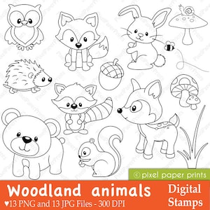 Woodland Animals Digital Stamps - Forest Animals - Line art for coloring pages, worksheets, crafts & more - PNG and JPG - Printable