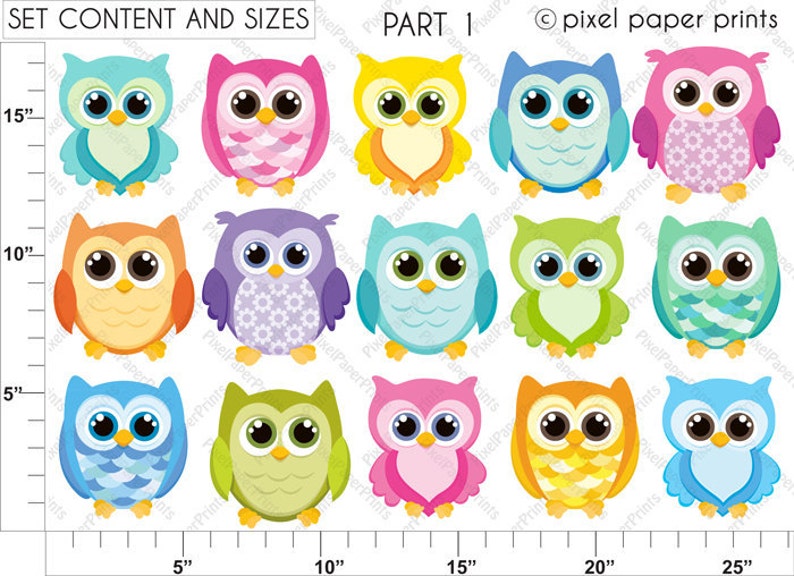Owl clipart OWL FRIENDS bright colors Digital paper and clip art set Owl clipart Digital download image 4