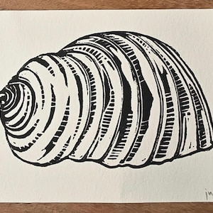 May include: A black and white linocut print of a seashell. The artwork features a detailed depiction of a spiral seashell with textured lines and curves. The print is on a cream-colored paper with a rough edge, signed in the bottom right corner.