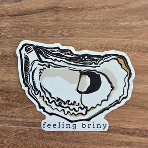 May include: A die-cut sticker featuring a stylized illustration of an open oyster shell with a cream-colored interior and dark brown outlines. The text "feeling briny" is printed in a simple black sans-serif font at the bottom of the sticker.