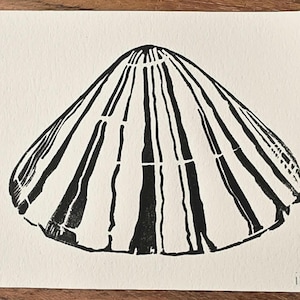 May include: Black and white linocut print of a seashell. The artwork features a stylized depiction of a shell with bold, vertical lines radiating from a central point. The print is on textured, off-white paper with a deckled edge.