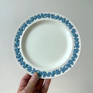 May include: A white ceramic plate with a blue floral border. The plate has a smooth surface and a detailed design around the rim. The plate is held by a hand.