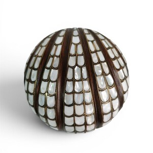 May include: A decorative, spherical object with a segmented design. Alternating sections of dark brown wood and white, shell-like inlays are framed by thin, gold-coloured metal. The overall shape is round, with a slightly flattened top.