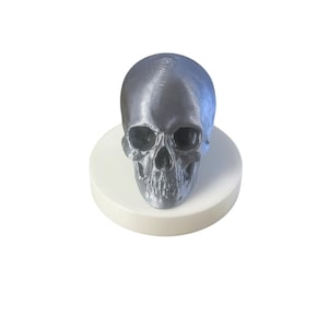 Könnte beinhalten: Eine metallisch graue Totenkopfskulptur mit detaillierten Gesichtszügen, einschließlich Augenhöhlen, Nasenhöhle und Zähnen. Der Schädel sitzt auf einem weißen, kreisförmigen Sockel und bildet einen auffälligen Kontrast zum weißen Hintergrund. Die Oberseite des Schädels hat ein Spiralmuster.