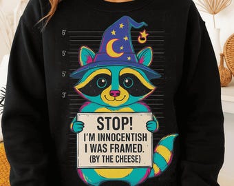 Raccoon Wizard Funny PNG: innocent framed meme art (Digital Download)