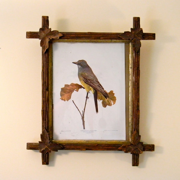 antique Adirondack frame and bird print, rustic