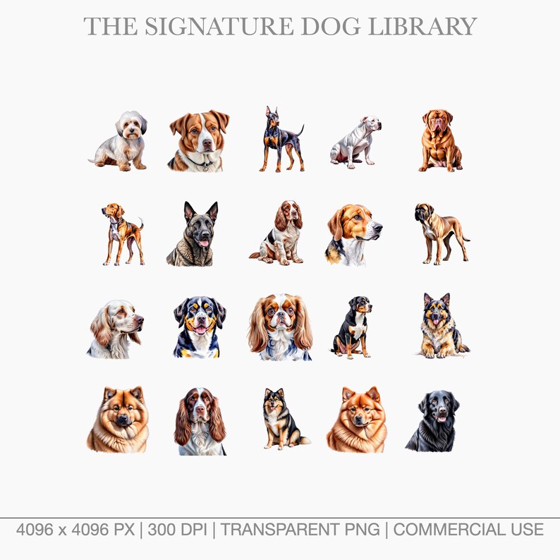 Transparent watercolor dog art featuring Doberman, Rottweiler, and Great Dane.