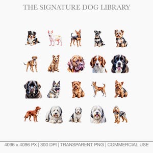 Grid of watercolor working dog breeds including Bernese Mountain Dog, Boxer, and Great Dane on transparent backgrounds.