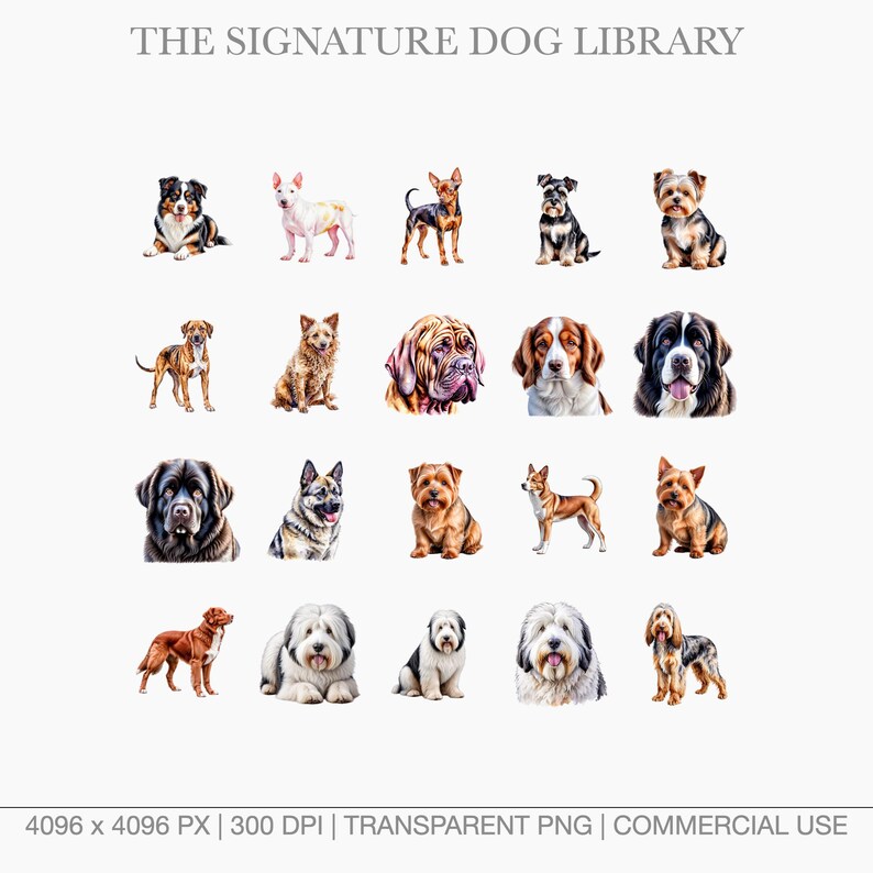 Grid of watercolor working dog breeds including Bernese Mountain Dog, Boxer, and Great Dane on transparent backgrounds.