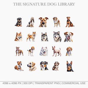 Grid of watercolor dog illustrations including Afghan Hound, Shiba Inu, and Dalmatian on transparent backgrounds.