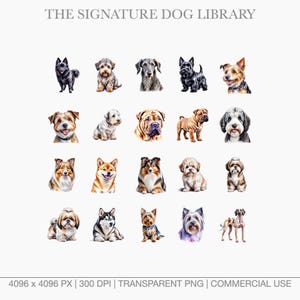 Watercolor clipart of Bully breeds and Mastiffs including French Bulldog, English Bulldog, and Cane Corso.