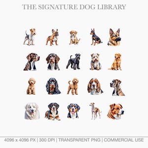 bundle.jpg	Digital assets for pet businesses featuring Wire Fox Terrier, Greyhound, and Saint Bernard.