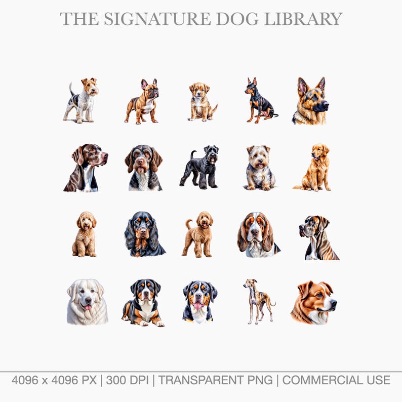 bundle.jpg	Digital assets for pet businesses featuring Wire Fox Terrier, Greyhound, and Saint Bernard.