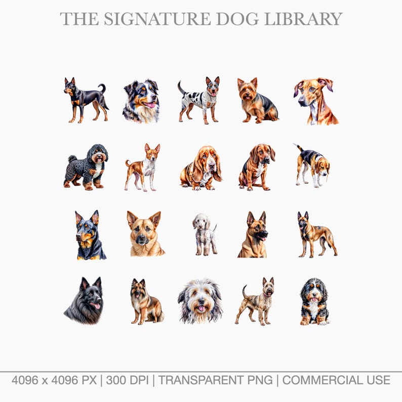Collection of dog breed portraits featuring Basset Hound, Beagle, and German Shepherd watercolor art.