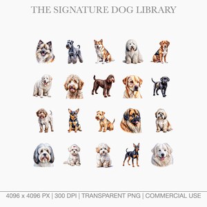 Close-up watercolor dog graphics including Havanese, Goldendoodle, and Newfoundland.