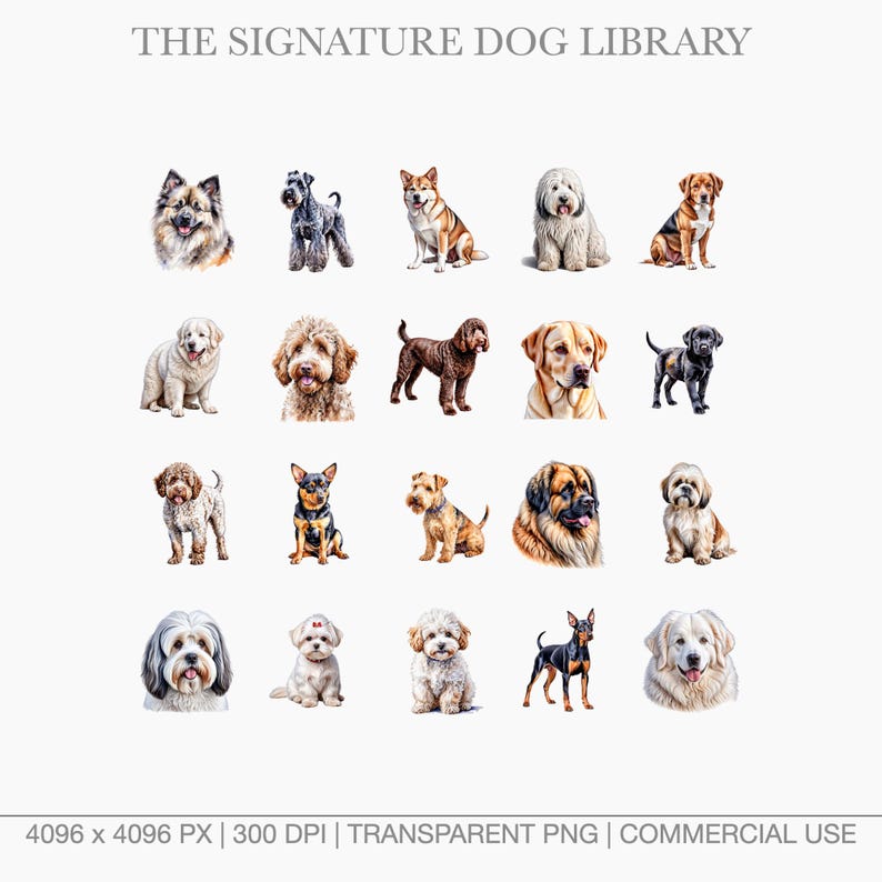 Close-up watercolor dog graphics including Havanese, Goldendoodle, and Newfoundland.