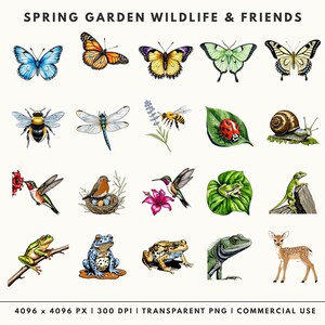 A variety of garden wildlife illustrations including several butterfly species, a honeybee, a ladybug on a leaf, a snail, hummingbirds, frogs, a lizard, and a small deer.