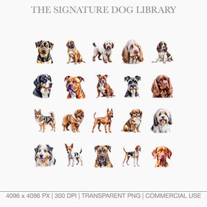 High-resolution watercolor art of rare dog breeds like the Xoloitzcuintli, Afghan Hound, and Saluki.