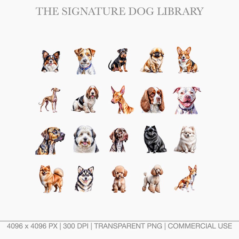 Watercolor dog portraits of various Terriers and Hounds including Airedale, Basset Hound, and Bloodhound.