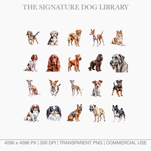 Diverse dog breed clipart including Jack Russell, Greyhound, and Irish Setter watercolor paintings.