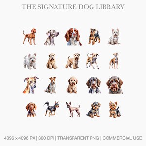 Watercolor illustrations of Herding and Sporting dogs including Border Collie, Australian Shepherd, and Vizsla.