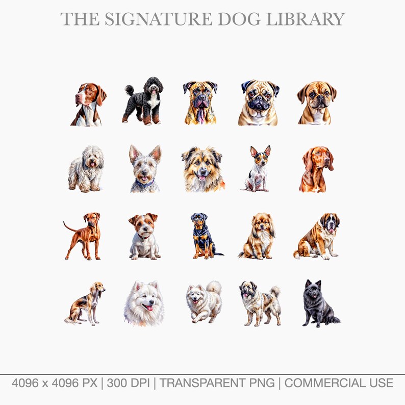 Collection of watercolor Poodle mixes and Doodles including Goldendoodle, Labradoodle, and Cockapoo illustrations.
