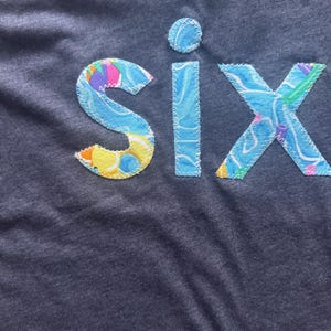 Custom Pool Party Birthday Shirt, Summer Pool Party Tee, Kids Fun Birthday Shirt with Pool Party Theme, Birthday Number Beach Ball Tshirt