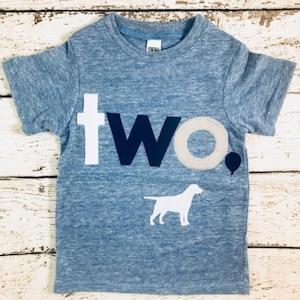 Dog Birthday shirt, dog shirt, dog party, dog tshirt, kids birthday shirt, puppy party, custom dog shirt pick colors for boy or girl