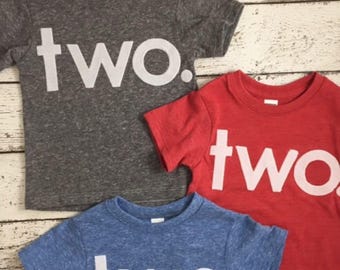 Children's birthday shirt, two shirt, any birthda, kid's tshirt, Birthday Tee Organic Shirt Blend boy's birthday, girl's birthday shirt