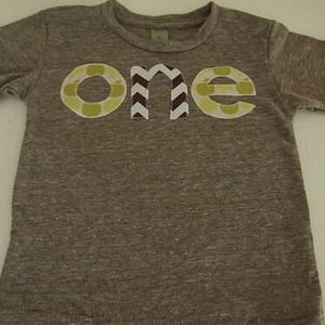 Fall Birthday Shirt, Apple Picking Party, Fall Themed Party Tee for any age, Custom number shirt, autumn colors Tshirt for kids image 2