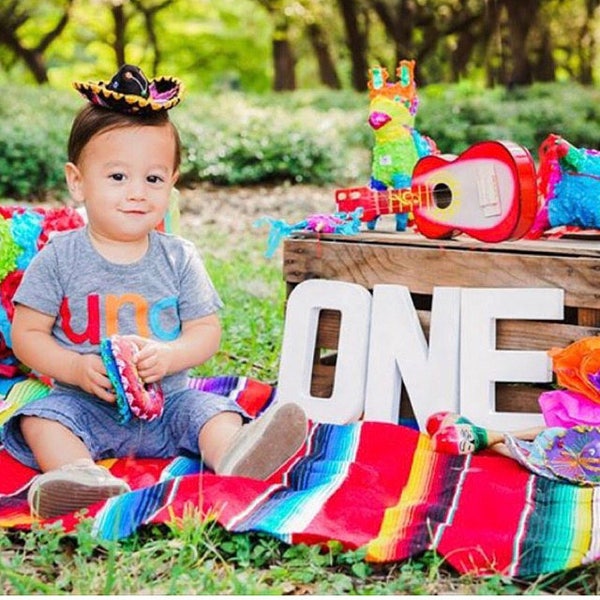 uno shirt, Dos shirt, Fiesta party, first fiesta, birthday shirt, uno decor, Organic tee, dos Tee second birthday, children's tee