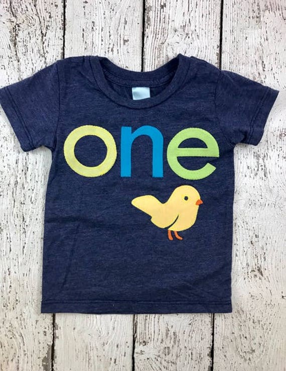 First birthday shirt, little chick, birthday shirt, first birthday, kid's clothing, birthday decor, one shirt, boys shirt, girls shirt Il_570xn