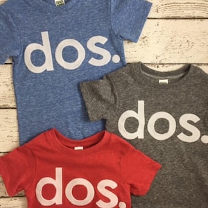 dos shirt,  birthday shirt, fiesta party, kid's birthday tee, spanish, Birthday Tee Organic Shirt Blend first birthday & up, kid's tee