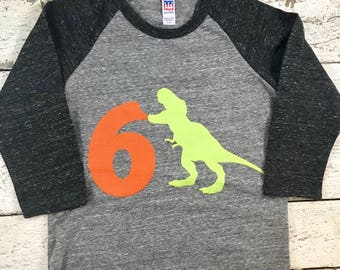 Dinosaur shirt, dinosaur birthday, dinosaur party, raglan shirt, boys birthday shirt, dinosaur decor, trex, dinosaur bite, kids clothing