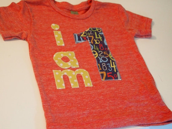 I AM 1 Birthday Tee Organic Shirt Blend boys girls birthday shirt first birthday second etc polka dot numbers Il_570xn
