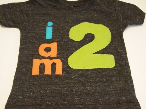 lime orange turquoise birthday Shirt Organic Shirt Blend customize colors boys girls birthday shirt first birthday and up Il_570xn
