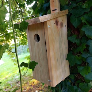 Könnte beinhalten: Ein Vogelhaus aus hellem Holz mit einem runden Eingang und einer kleinen Sitzstange. Das Vogelhaus ist an einem Baum befestigt, umgeben von grünen Blättern. Das Dach ist abgewinkelt, um Regen abzuleiten.