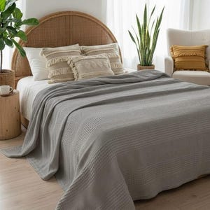May include: A light gray waffle-weave blanket draped over a bed. The bed features a rounded rattan headboard, white pillows, and two decorative beige throw pillows with textured patterns. A green plant sits in a woven basket nearby.