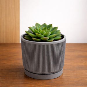Succulent Plant Pot – Grey 3D Printed Planter for Desk & Home