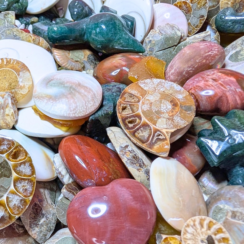 May include: A collection of polished gemstones and fossils in various shapes and colors. The assortment includes a heart-shaped red stone, spiral-shaped ammonite fossils, and green carved figurines. Other stones are white, tan, and brown.