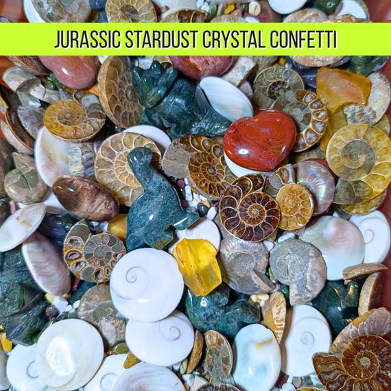 Jurassic Stardust Crystal Confetti Scoop | Fossil Mix | Ammonite, Megalodon Tooth, Petrified Wood | Crystal Chips | Witchy Scoop