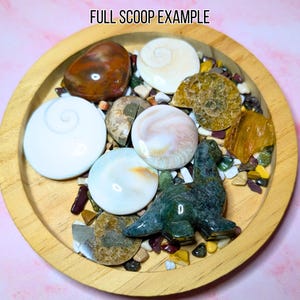 May include: A wooden bowl filled with various polished stones and shells. The collection includes a brown and white stone, several white spiral shells, and a carved green stone seal. The text "FULL SCOOP EXAMPLE" is at the top.