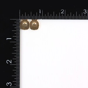 K&ouml;nnte beinhalten: Zwei kleine, goldfarbene Ohrringe mit einer abgerundeten, gl&auml;serartigen Form. Jeder Ohrring hat einen Stift auf der R&uuml;ckseite zur Befestigung am Ohr. Die Ohrringe sind vor einem wei&szlig;en Hintergrund mit einem schwarzen Lineal platziert.