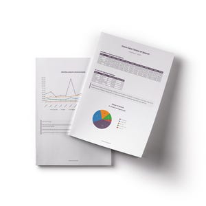 May include: Two white sheets of paper with printed data and charts. One sheet displays a line graph showing monthly search volume trends. The other sheet shows data tables and a pie chart with the text "Coca Cola | Share of Search".