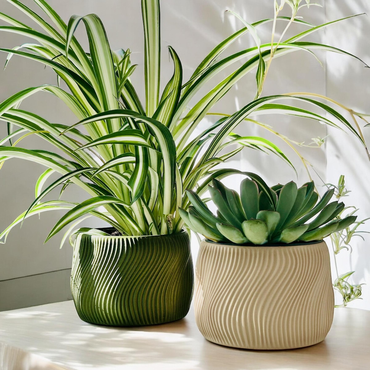 NEW - Dolce, Indoor Planter Pot