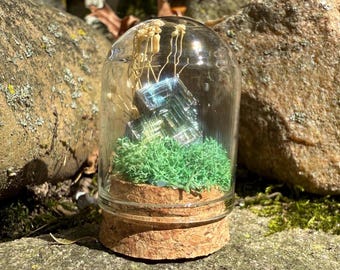 Mini cápsula de cristal de bismuto de Ryn