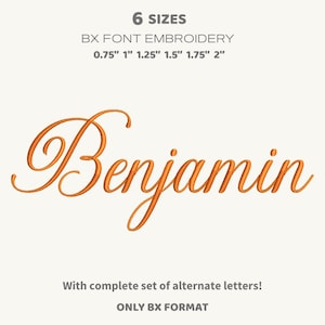 Puede incluir: Fuente de escritura bordada en naranja con la palabra "Benjamin" sobre un fondo blanco. La imagen incluye texto que indica seis tamaños disponibles, de 1,9 cm a 5,1 cm, y la disponibilidad de letras alternativas.
