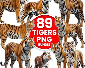 89 Tiger PNG Clipart Bundle | HD Full Body Tigers | Transparent Background | Commercial Use